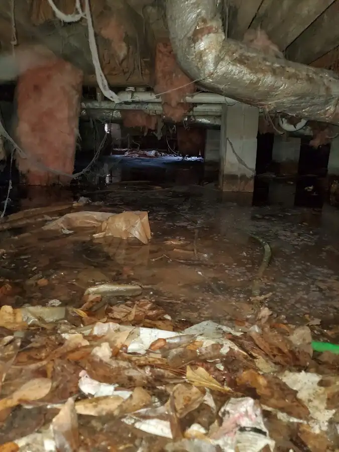 Crawl space flood assessment for Leak Detection & Repair in Arlington